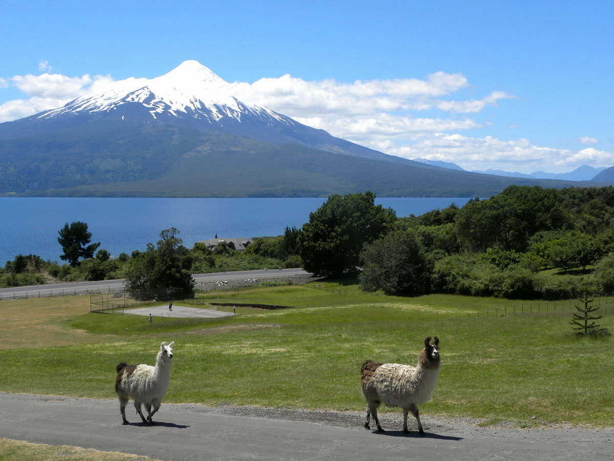 CRUCEROS CHILE PUERTO MONTT CRUCEROS SUDAMERICA SOUTHAMERICA CRUISES